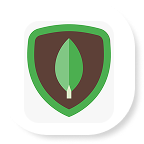 MongoDB