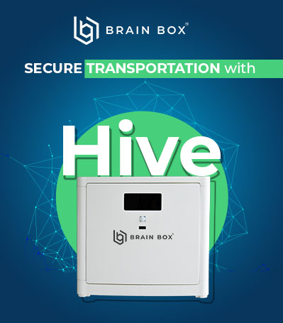 Brain Box - Hive